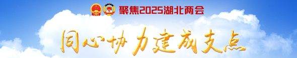 聚焦2025湖北两会