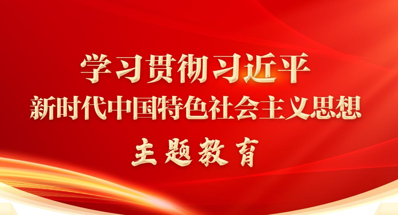 学习贯彻习近平新时代中国特色<br/>社会主义思想主题教育